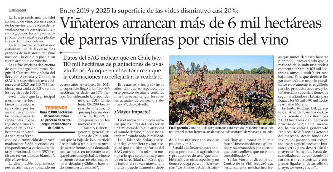 Viñateros arrancan más de 6 mil hectáreas de parras viníferas por crisis del vino
